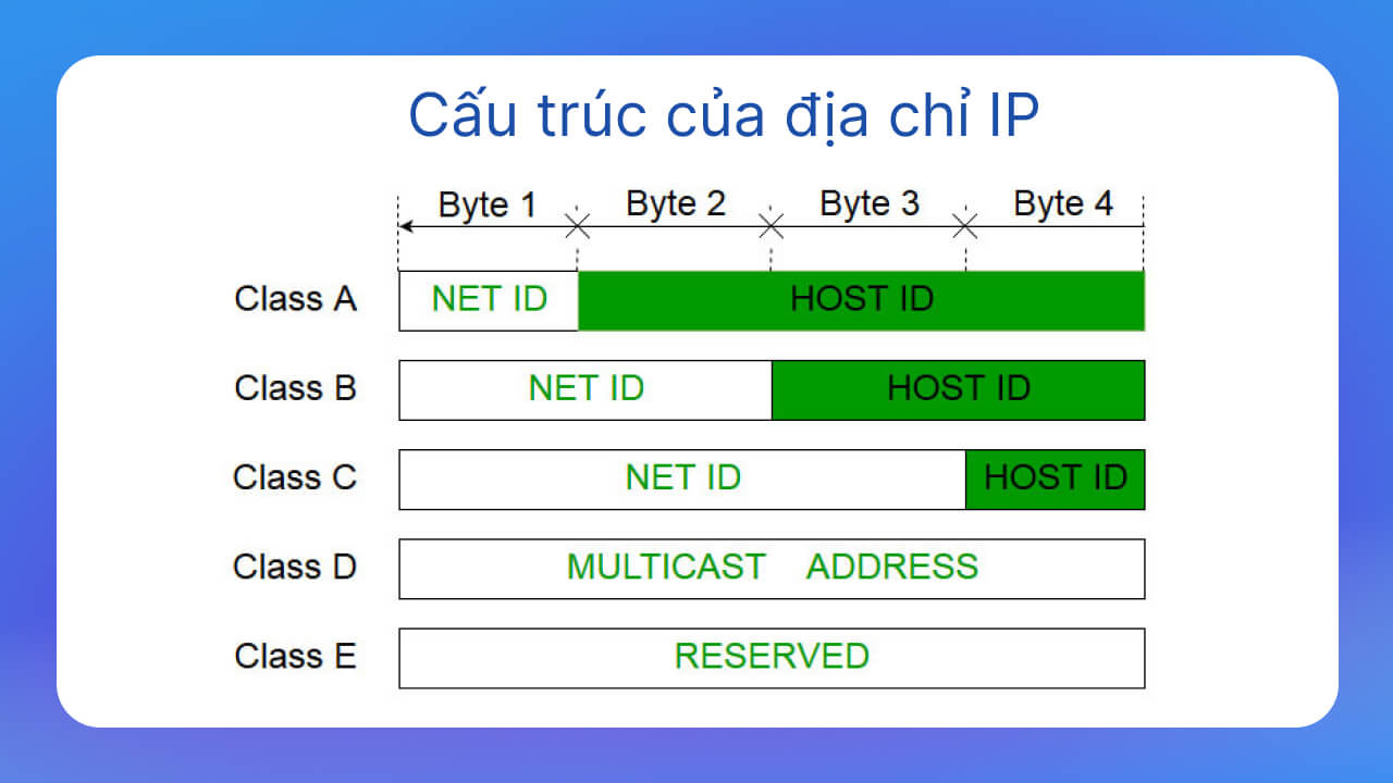 Cấu trúc của địa chỉ IP là gì?