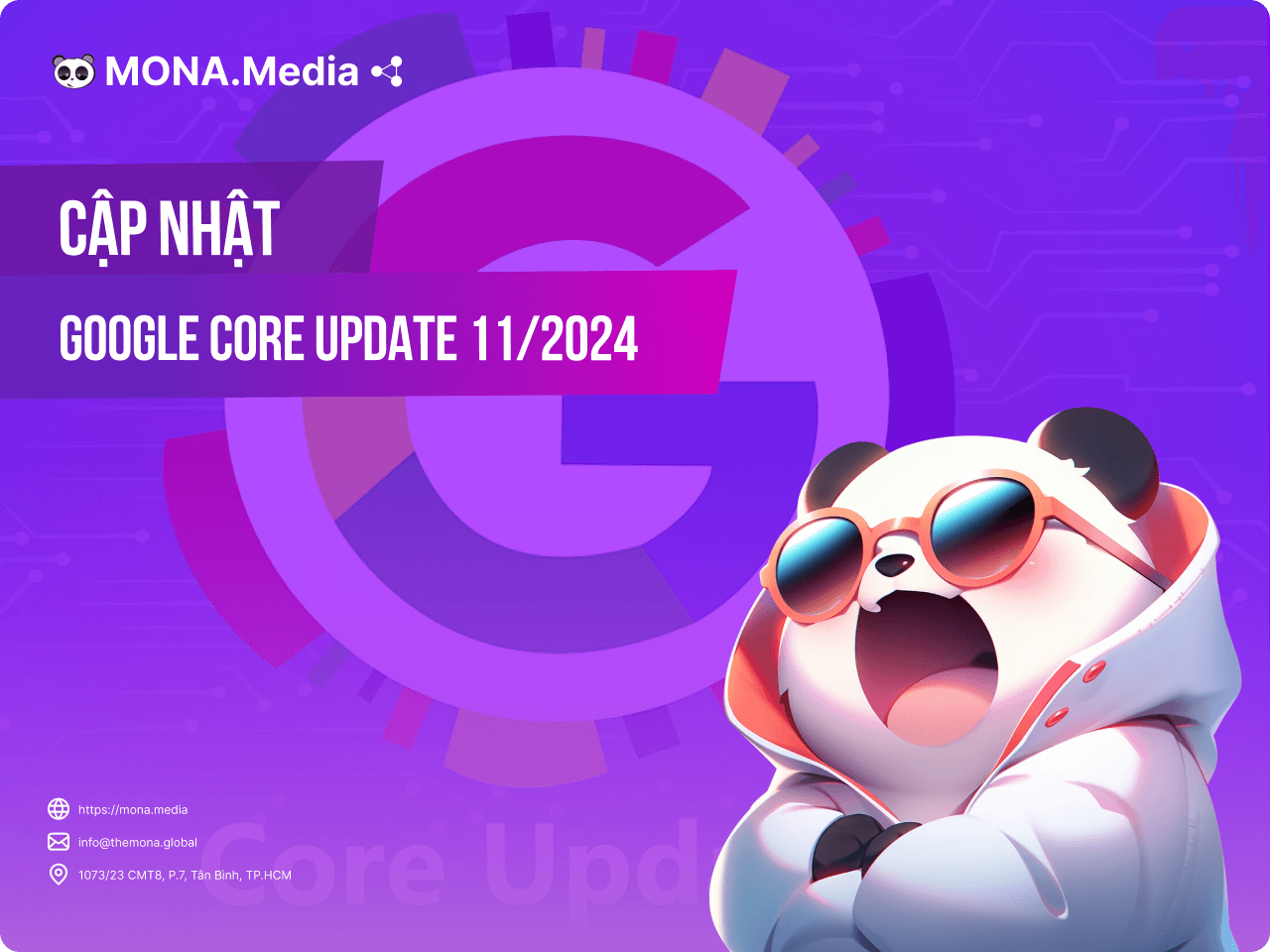 Google Core Update 11/2024