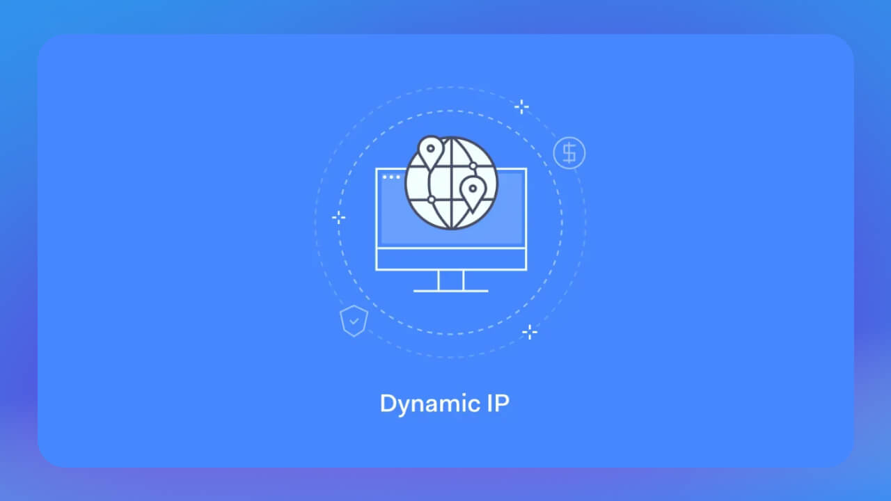  IP Dynamic Address