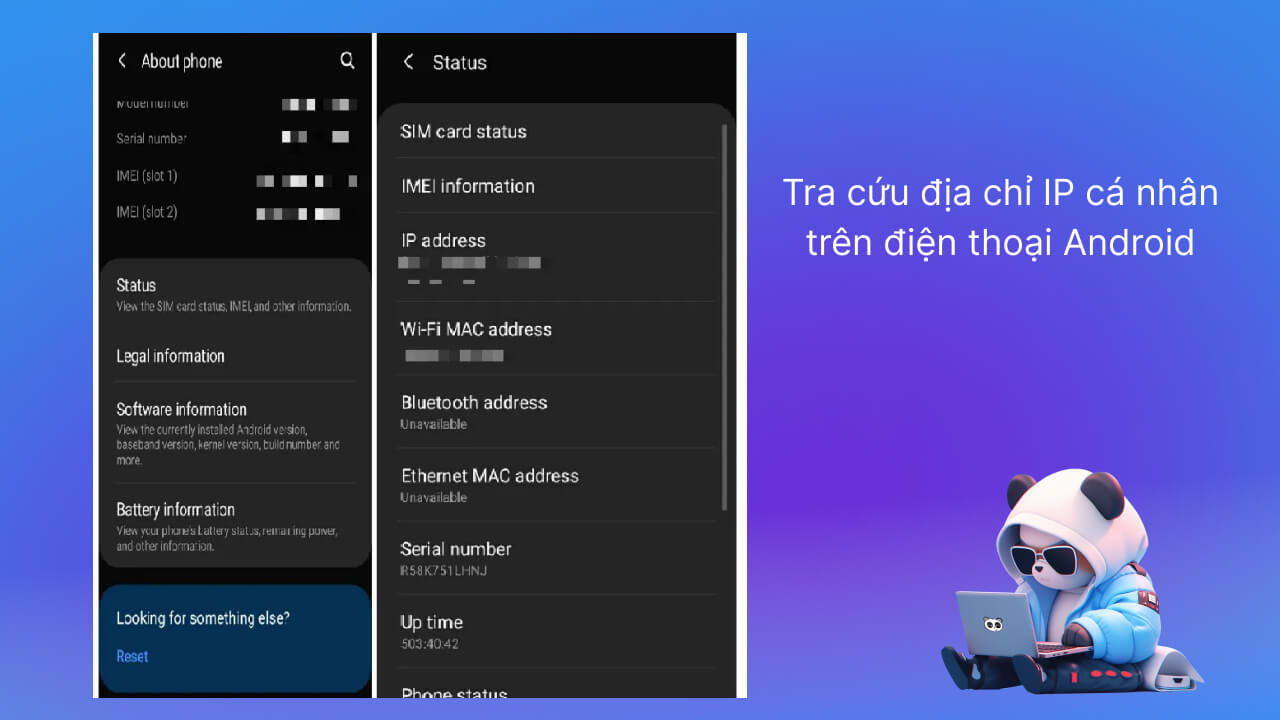 Tra cứu IP address cá nhân trên điện thoại Android