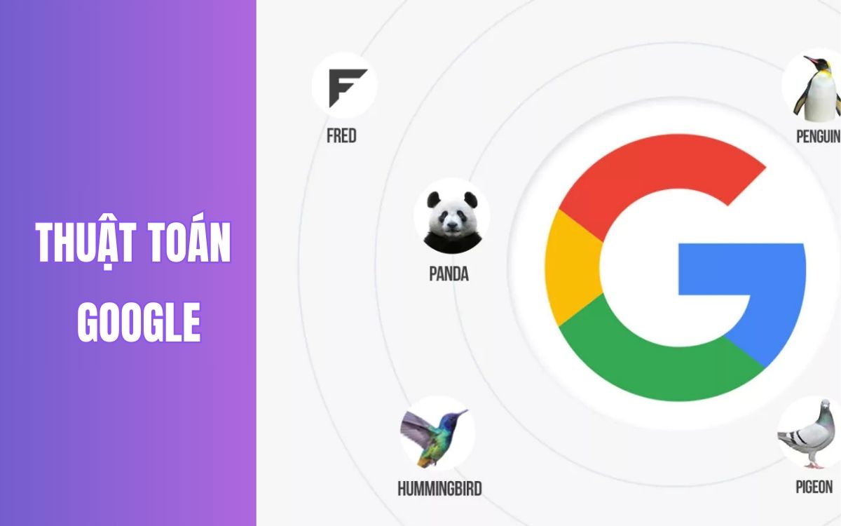 Các thuật toán phổ biến của Google Các thuật toán phổ biến của Google