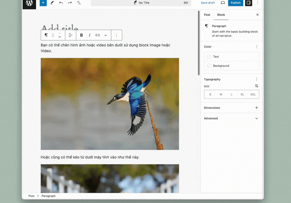 Tùy chỉnh hiển thị hình ảnh trên Block Editor