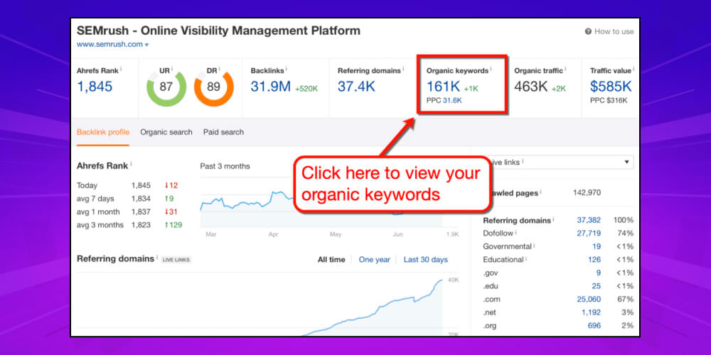 Truy cập vào phần Organic Keywords để tìm từ khóa tự nhiên