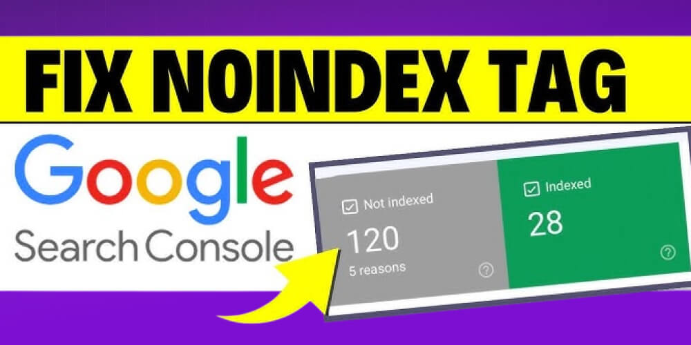 kiểm tra và khắc phục lỗi noindex