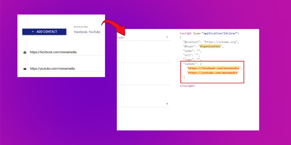 Khai báo schema cho các kênh social entity seo