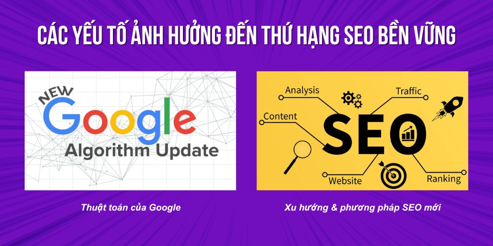 Những yếu tố tác động đến thứ hạng SEO bền vững Những yếu tố tác động đến thứ hạng SEO bền vững