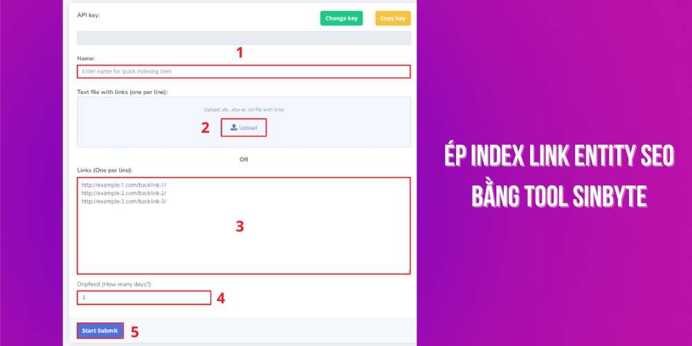 Sử dụng công cụ để ép index cho link entity SEO