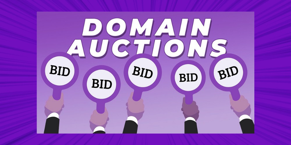 Lợi ích khi chọn Auction Domain làm web PBN là gì