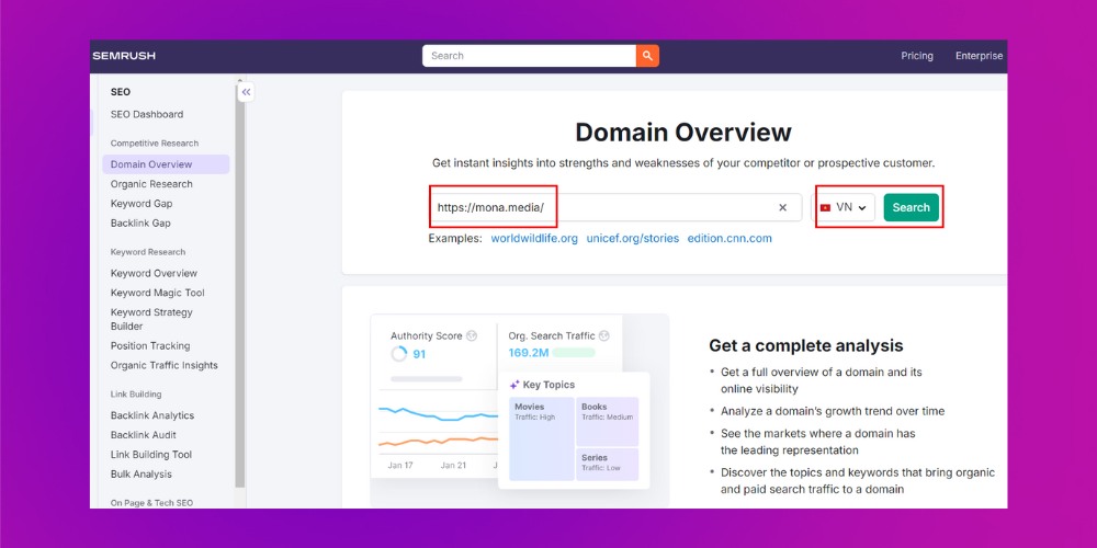 Nhập URL của website vào thanh bar của phần Domain Overview