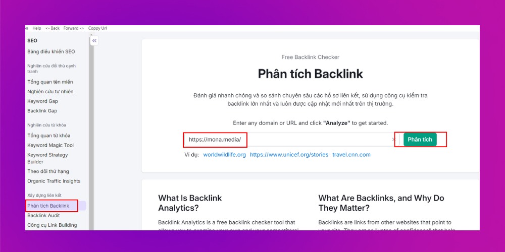 Nhập URL của website vào mục Phân tích Backlink
