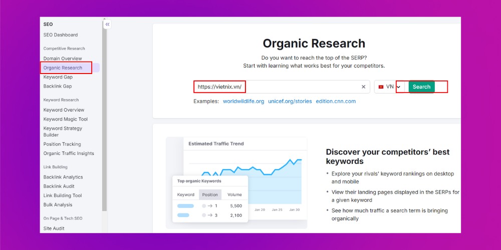 Điền url của website đối thủ vào thanh bar để tiến hành phân tích cách đối thủ đặt Featured Snippet