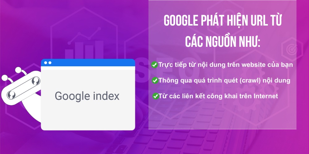 Quá trình Google index website Quá trình Google index website