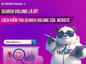 Search volume là gì? Cách kiểm tra chỉ số search volume của website