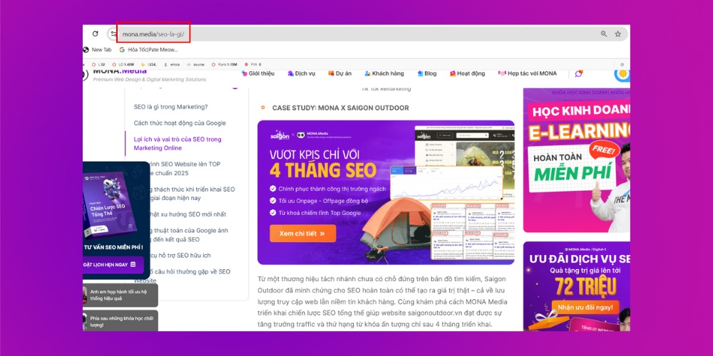 Tối ưu domain và URL là cách đưa website lên top hiệu quả Tối ưu domain và URL là cách đưa website lên top hiệu quả