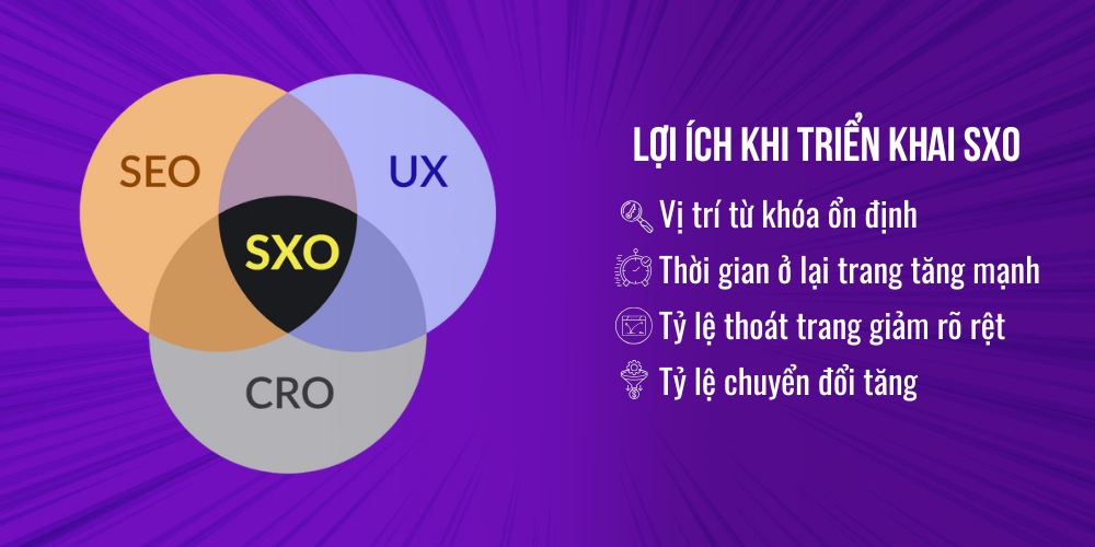 Lợi ích khi triển khai SXO là gì