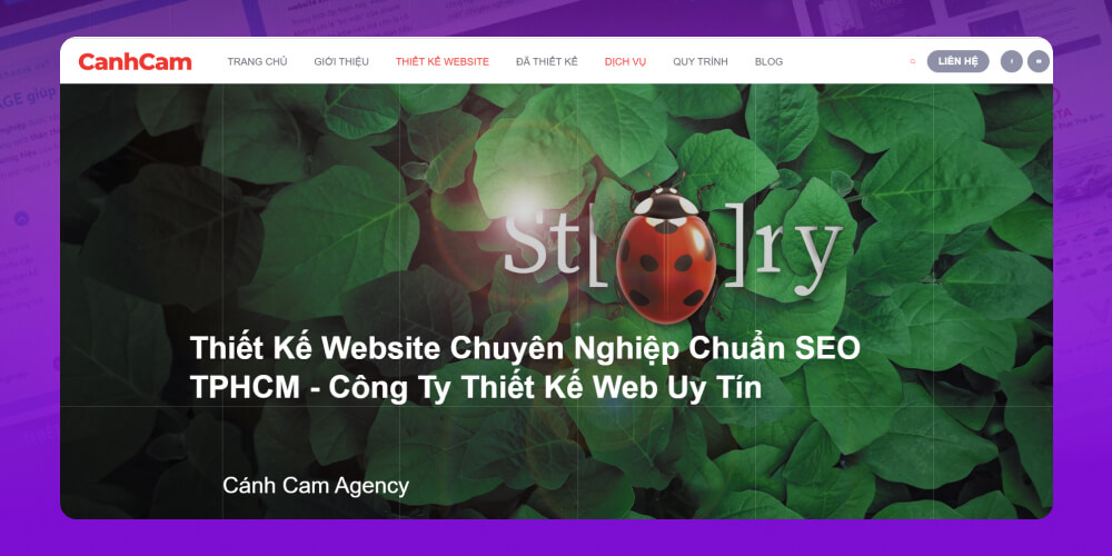 Cánh Cam Web Design Agency 