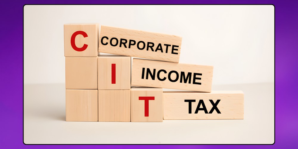 Thuế thu nhập doanh nghiệp