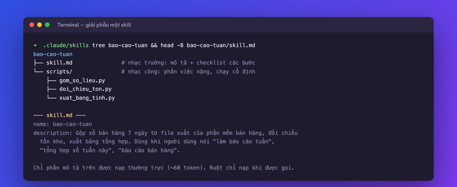 Cấu trúc một skill: file điều phối và các script thực thi