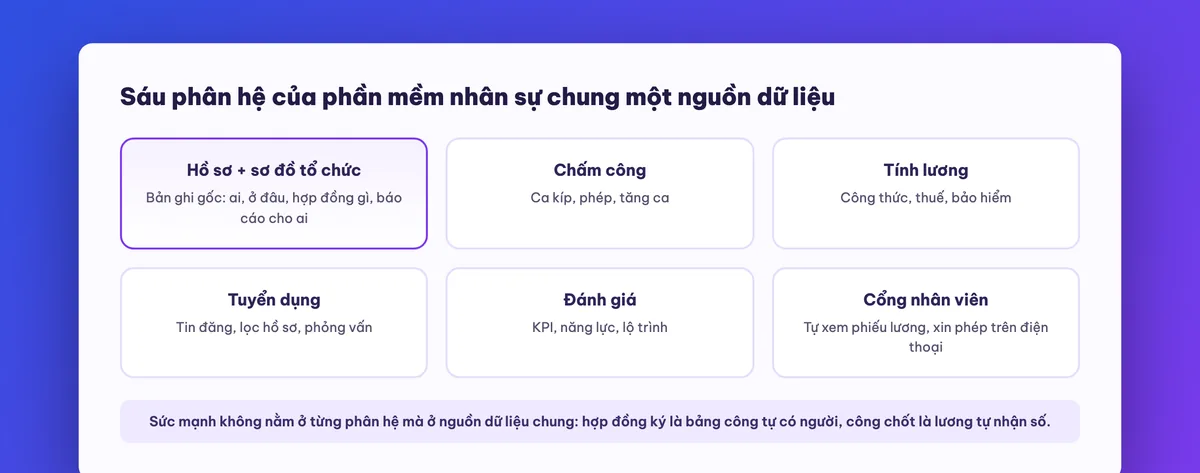 Sáu phân hệ của phần mềm quản lý nhân sự nói chuyện với nhau
