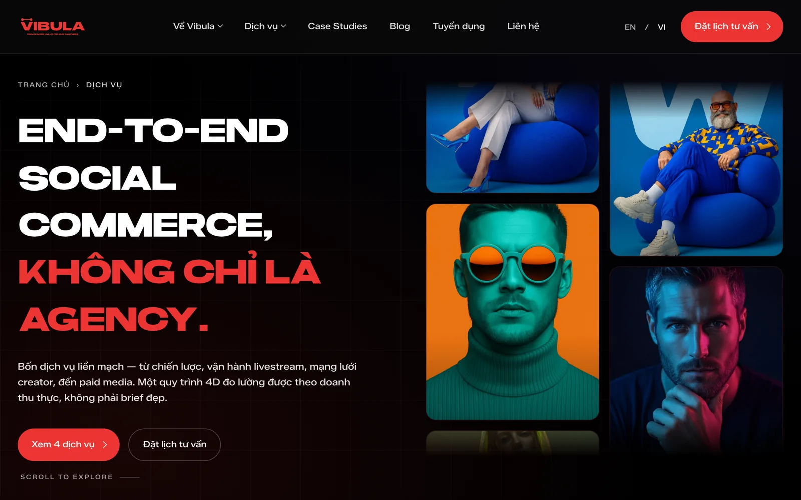 Vibula - Website thương hiệu Agency Social & Live Commerce