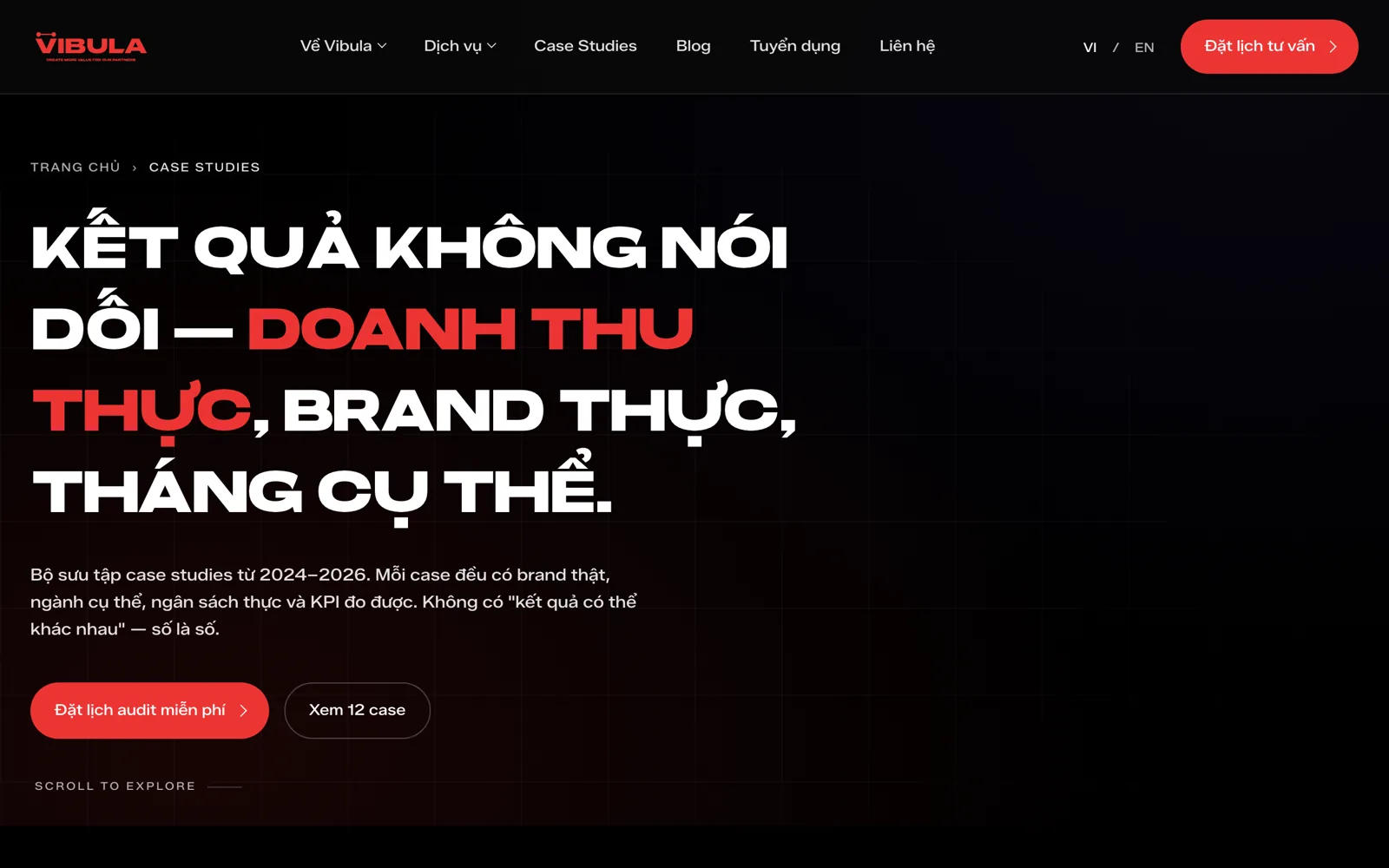 Vibula - Website thương hiệu Agency Social & Live Commerce