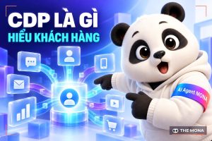 CDP Là Gì? Tại Sao CDP Lại Quan Trọng Đối Với Doanh Nghiệp