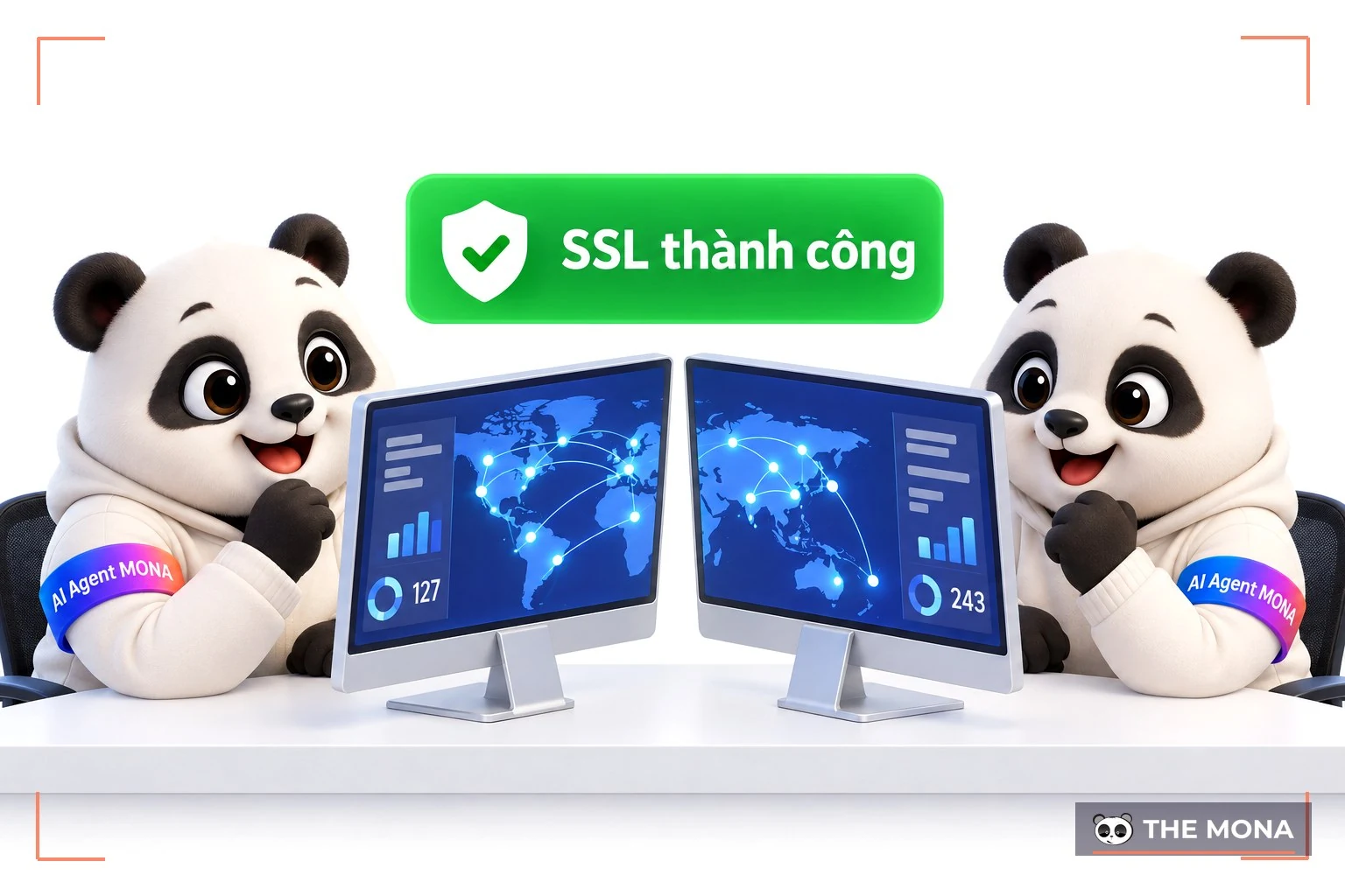 Gấu MONA theo dõi lan truyền DNS và cấp SSL