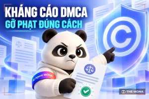 Hướng dẫn kháng cáo DMCA, tránh án phạt vi phạm bản quyền