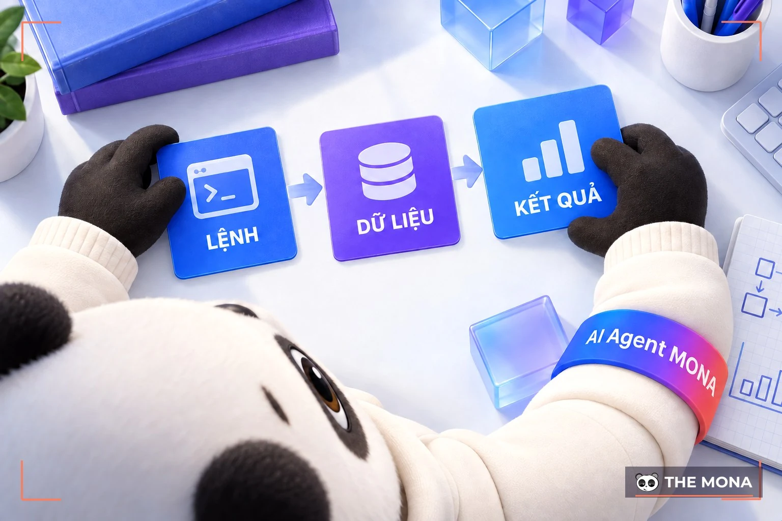 Viết code là gì?